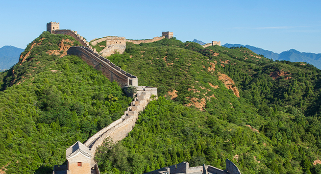 바이오메디컬학과