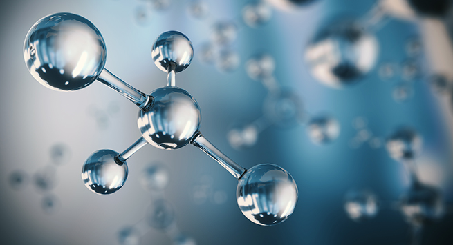 융합관광경영전공