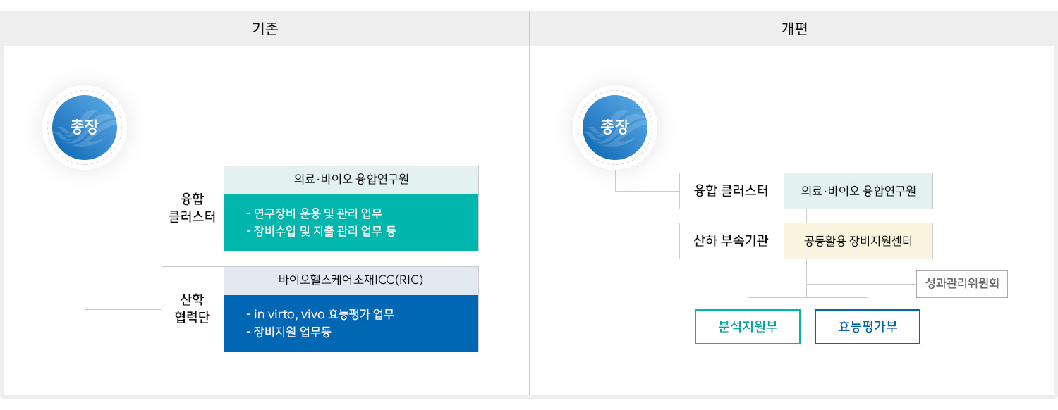 교내 분산 자원 집중화 육성 전략